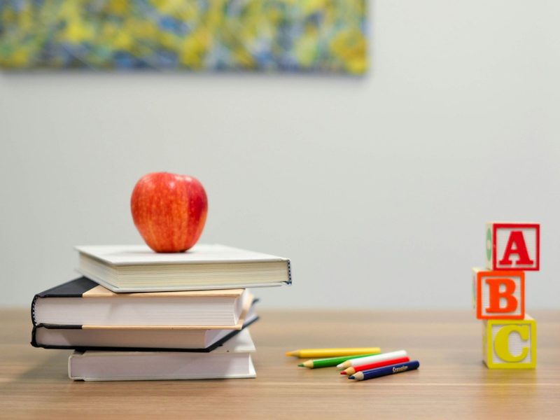 Teilhabeassistenz und Schulbegleitung